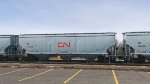 CN 114559